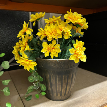 Plant, Pot Plant, Flowers, Yellow Flowers x 2